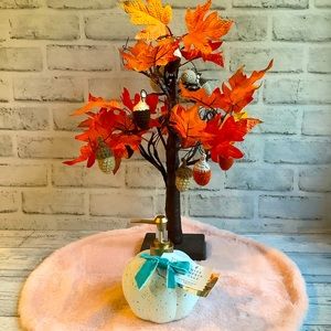 THE SOMERSET TOILETRY COMPANY 16.9oz White Pumpkin And Sage Hand Wash